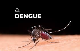 /imagenes/dengue.jpg